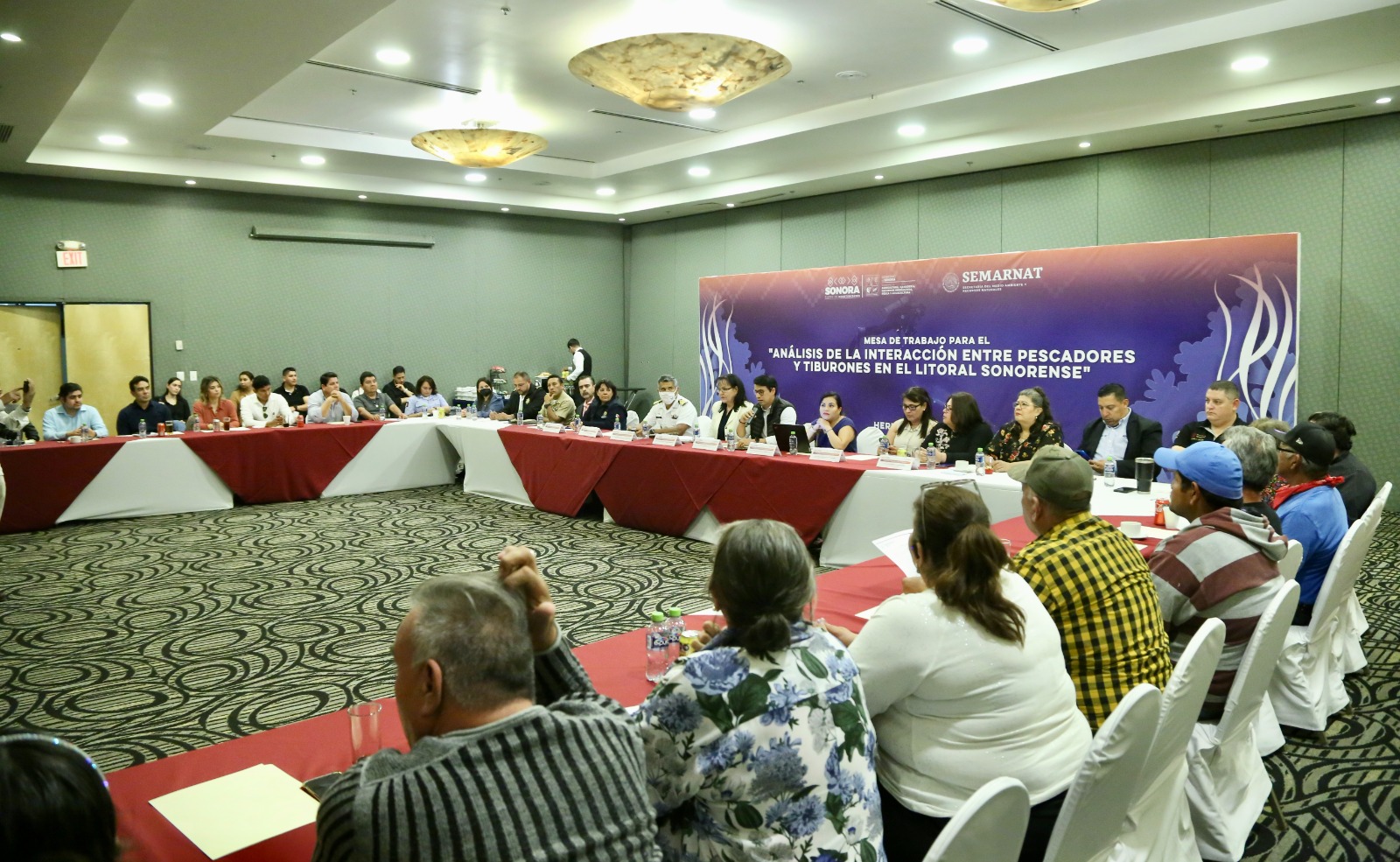 Realiza Sagarhpa mesa de trabajo sobre interacción entre pescadores y tiburones